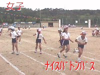 Fʑ΍R[(qEjq)